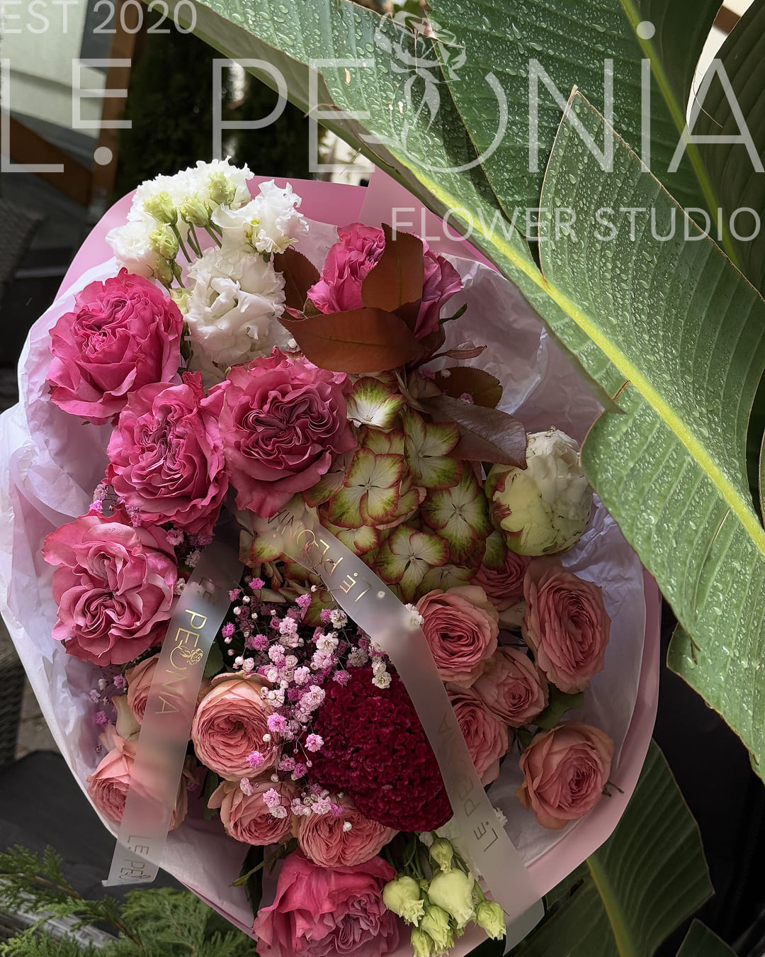 Bouquet with lush raspberry garden roses, creamy lisianthus, green hydrangeas and burgundy celosia, wrapped in soft pink paper and branded ribbon